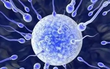 葫芦岛试管婴儿优选，盛京医院VS202医院，哪家更胜一筹？