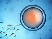 女性怀孕困难怎么办，在溧阳市有医院能做试管婴儿吗？听听当地姐妹们怎么说