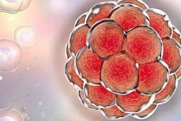 2026年济南三代试管比较好的医院，这几家上榜了