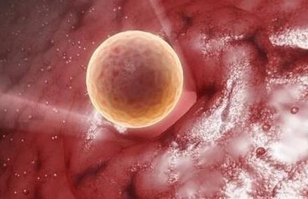 做试管助孕的孩子好还是自己生好(试管助孕与自己生有什么区别)