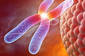 做试管用医院提供的精子需要多少费用？2026全国试管助孕医院排名