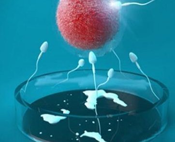 湖北荆门做试管婴儿吗？专业医院等你来咨询